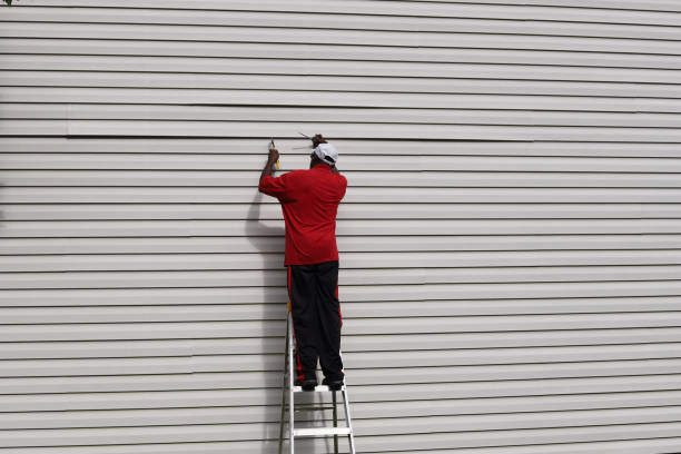 Best Same-Day Junk Removal Services  in Sesser, IL