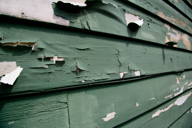 Recycling Services for Junk in Sesser, IL