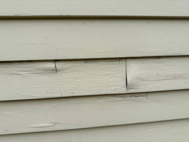 Best Shed Removal  in Sesser, IL